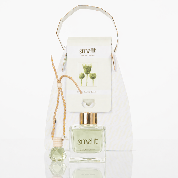 Kit Ambientador Carro 8ml + Mikado 50 ml Erva Fresca
