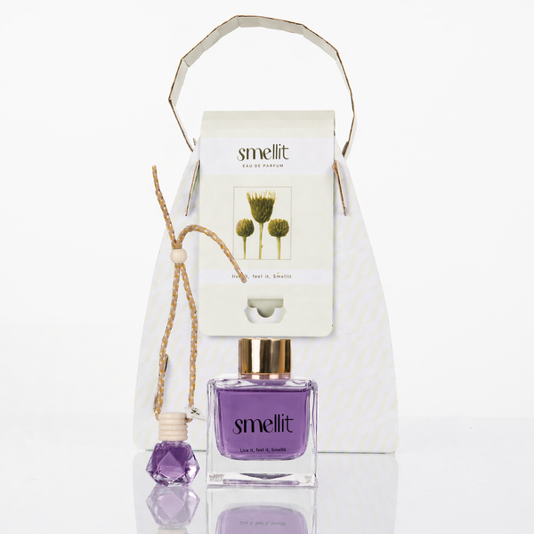 Kit Ambientador Carro 8ml + Mikado 50 ml Lavanda