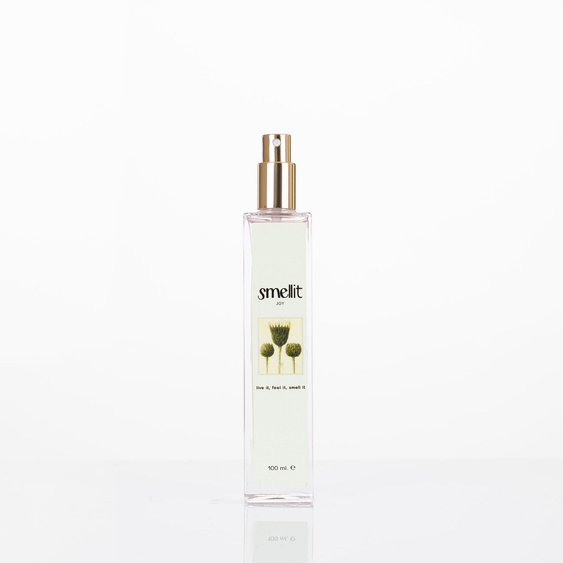 Perfumes Femininos Frutado