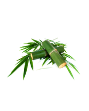 Bambu