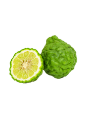 Bergamota