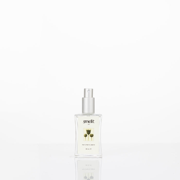Perfume Sin (Homem)